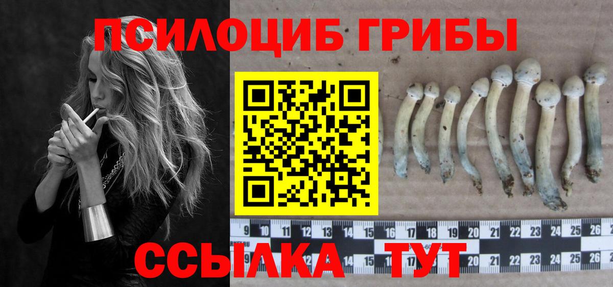 Искитим  Псилоцибиновые грибы мицелий  Вход с VPN 